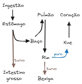 aula 03 ciclo das aguas soriani.webp|400