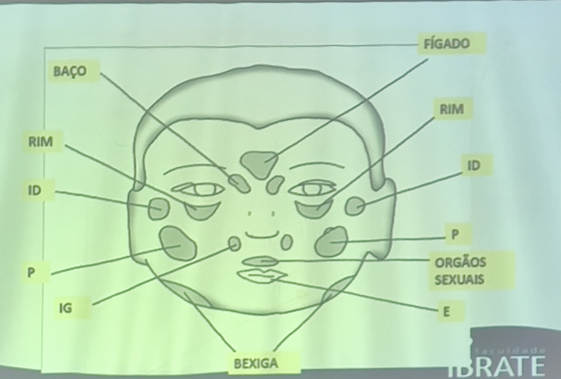 Aula 02 Fisiognomia.jpg