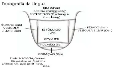 Lingua-ibrate.webp
