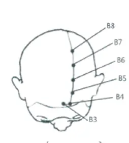 Pontos-Bexiga-b.webp