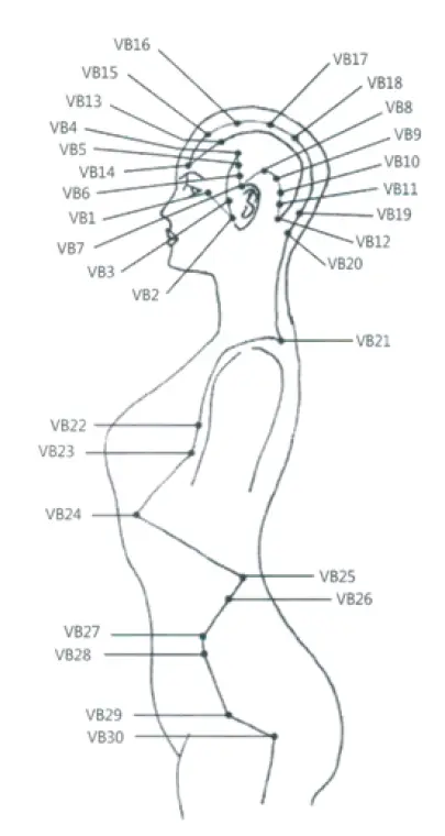 Pontos-Vesicula-Biliar-A.webp