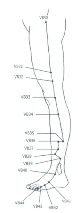 Pontos-Vesicula-Biliar-c.webp