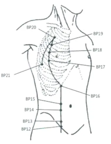 pontos-baco-D.webp