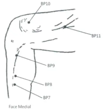 pontos-baco-C.webp