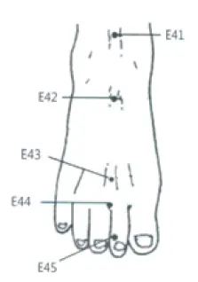 pontos-estomago-e.webp