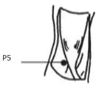 pontos-pulmao-b.webp