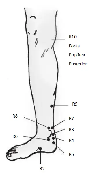 pontos-rim-c.webp