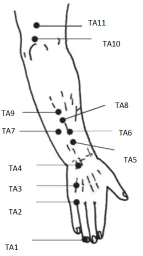 pontos-taquecedor-a.webp