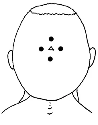 Shi-shen-tsung Ibrate.webp