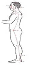 YangQiaoMai-Ibrate.webp