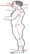 YangWeiMai-Ibrate.webp
