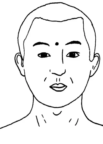 Yintang Ibrate.webp