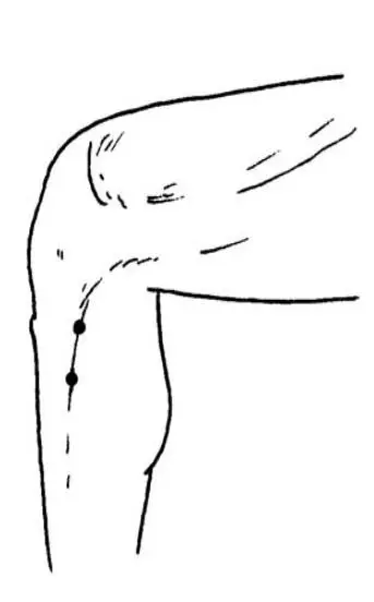barreira renal Ibrate.webp