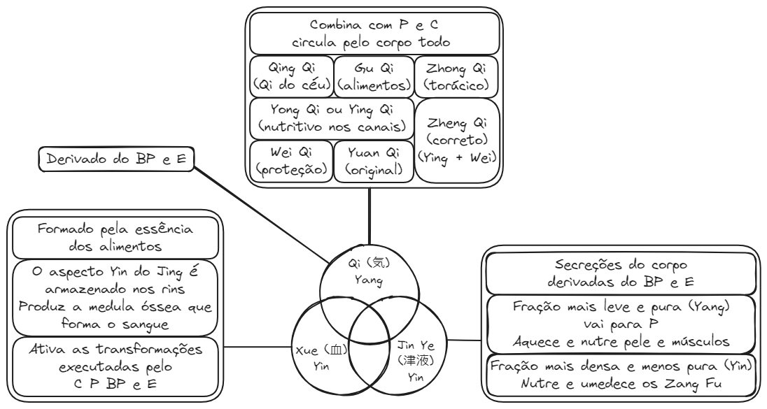 Aula 12 Fisiologia Fig01 Formação do Qi, Jin Ye e Xue.excalidraw.webp