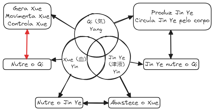 Aula 12 Fisiologia Fig02 Relações entre Qi, Jin Ye e Xue.excalidraw.webp|680