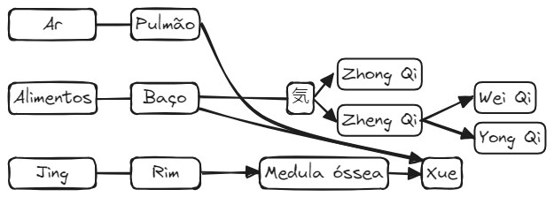 Aula 12 Fisiologia Fig03 Formação de Qi e Xue.excalidraw.webp|680