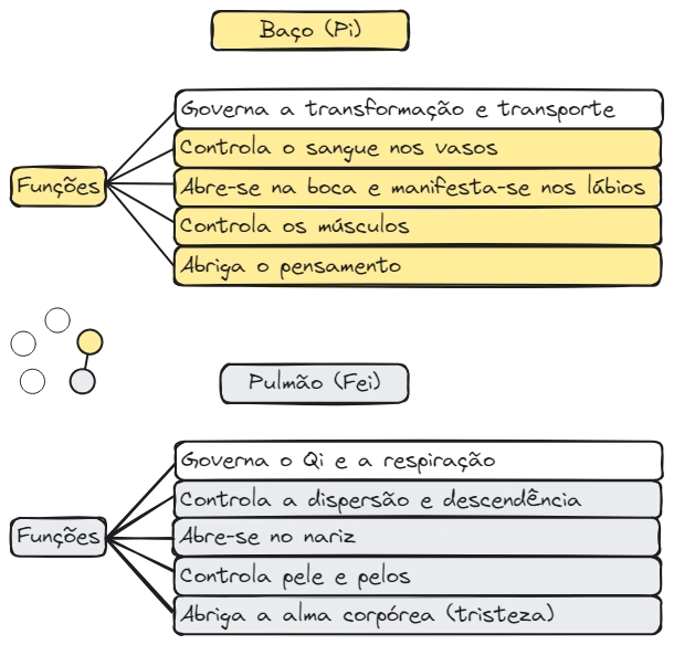 Aula 12 Zang Fig12 BP-P.excalidraw.webp|680