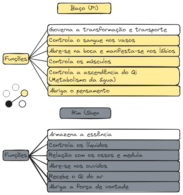 Aula 12 Zang Fig13 BP-R.excalidraw.webp|680
