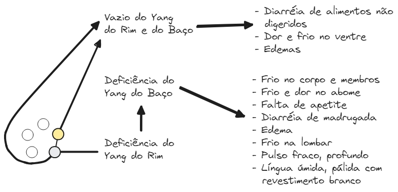 Aula 12 Zang Fig14 BP-R Patologia.excalidraw.webp|680