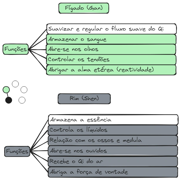 Aula 12 Zang Fig17 F-R.excalidraw.webp|680