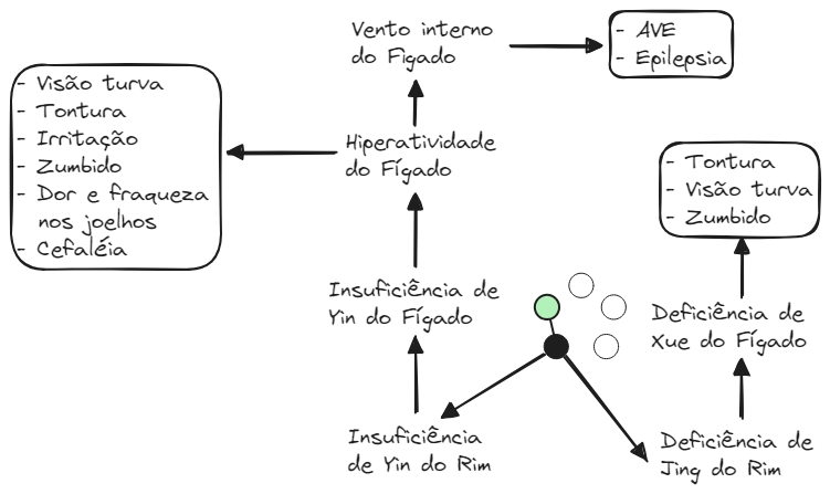 Aula 12 Zang Fig19 F-R Patologia 2.excalidraw.webp|680