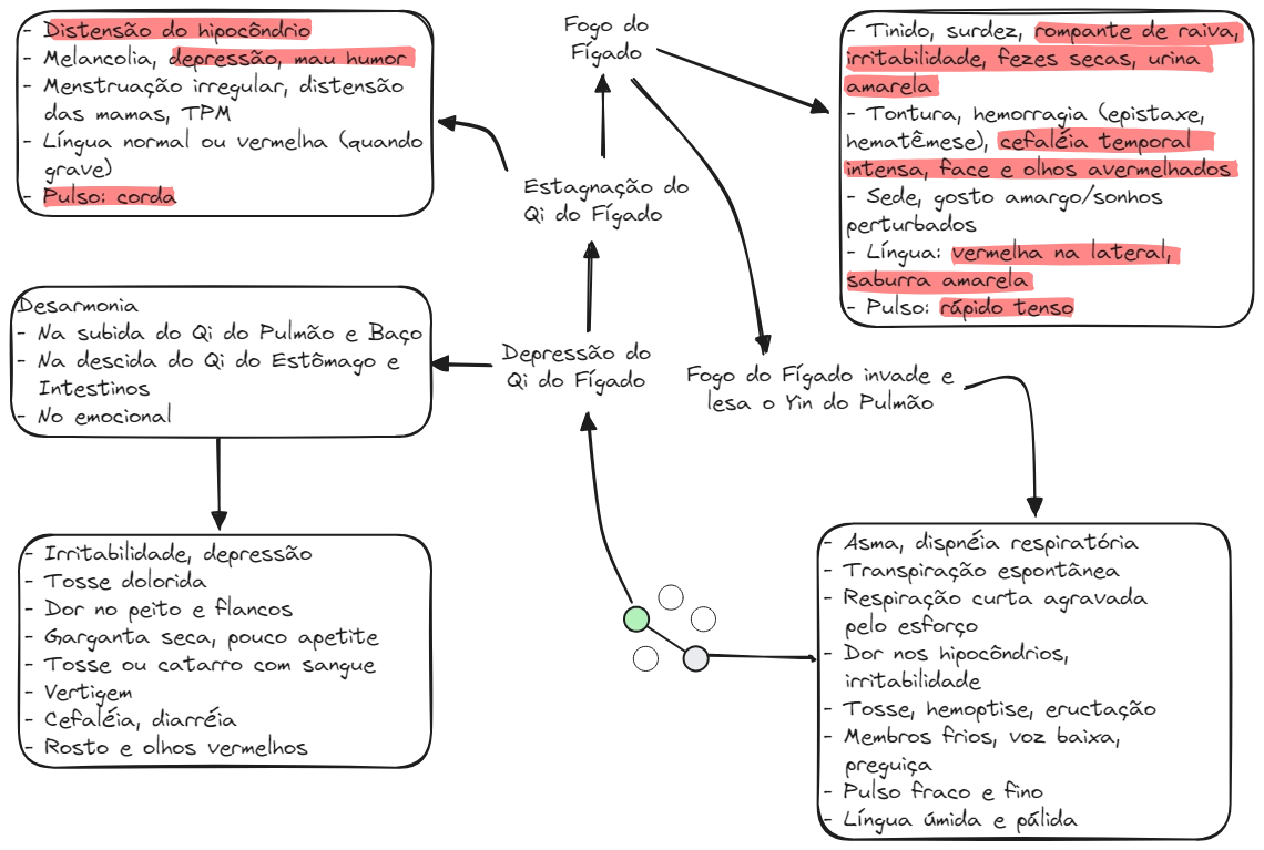 Aula 12 Zang Fig22 F-P Patologia.excalidraw.webp|680