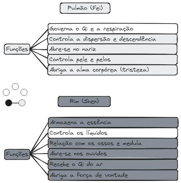 Aula 12 Zang Fig23 P-R.excalidraw.webp|680