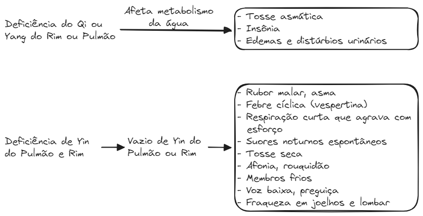 Aula 12 Zang Fig24 PR Patologia.excalidraw.webp|680